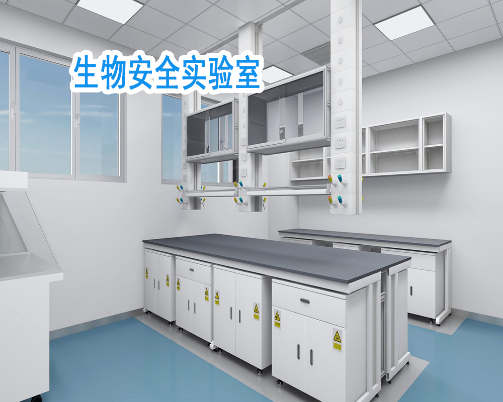 生物安全实验室组成和净化装修设计(图1)